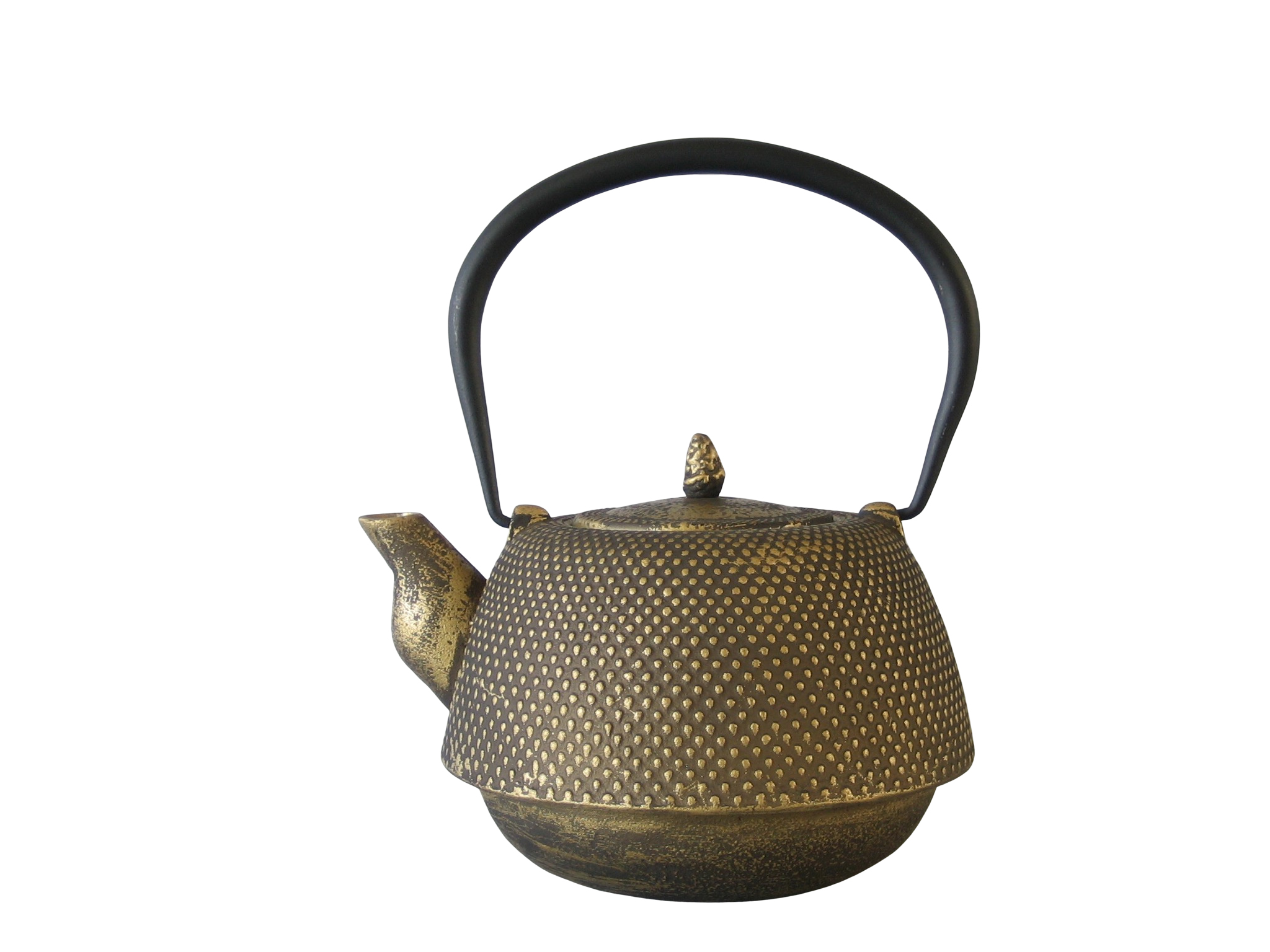 NAGANO100 - Cast iron teapot enameled interior  1.0 L - Green Leaf